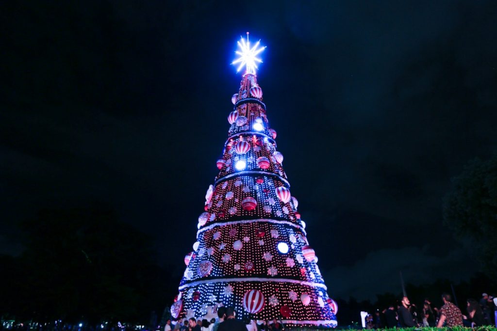 Decoração de Árvore de Natal do Ibirapuera fica em exposição até dia 1 -  Jornal Folha Metropolitana