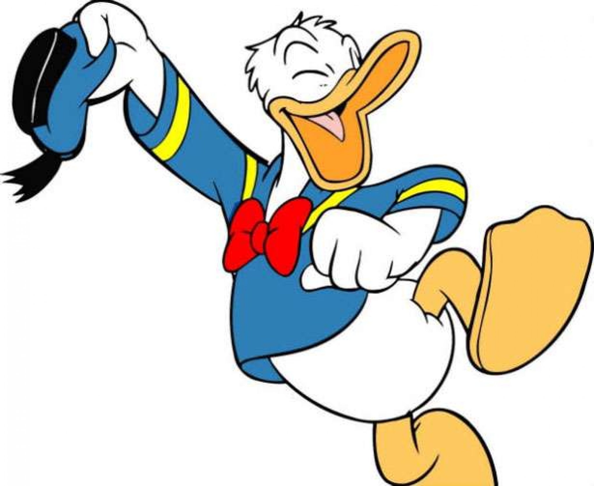 Pato Donald  Pato donald, Arte da disney, Desenho animado disney