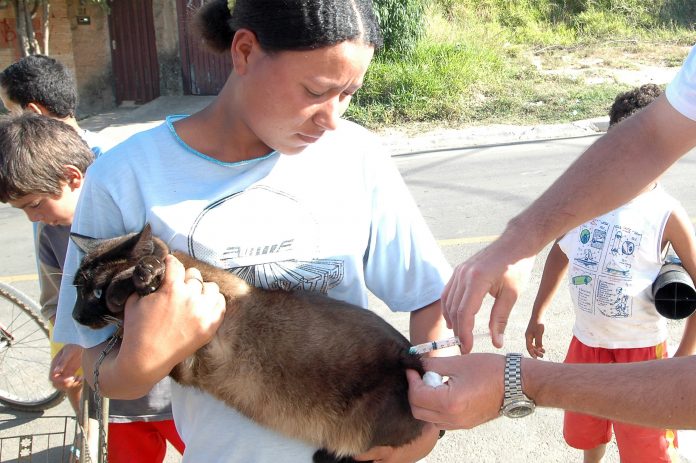 Vacinação de Cães e Gatos_Foto Márcio Lino 04