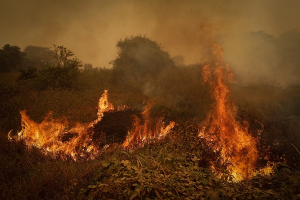 'Pantanal está triste', diz produtor