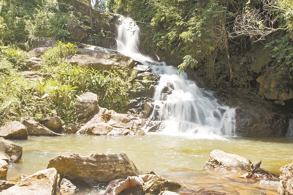 MONTE ALEGRE_Miguel Schincariol (1)