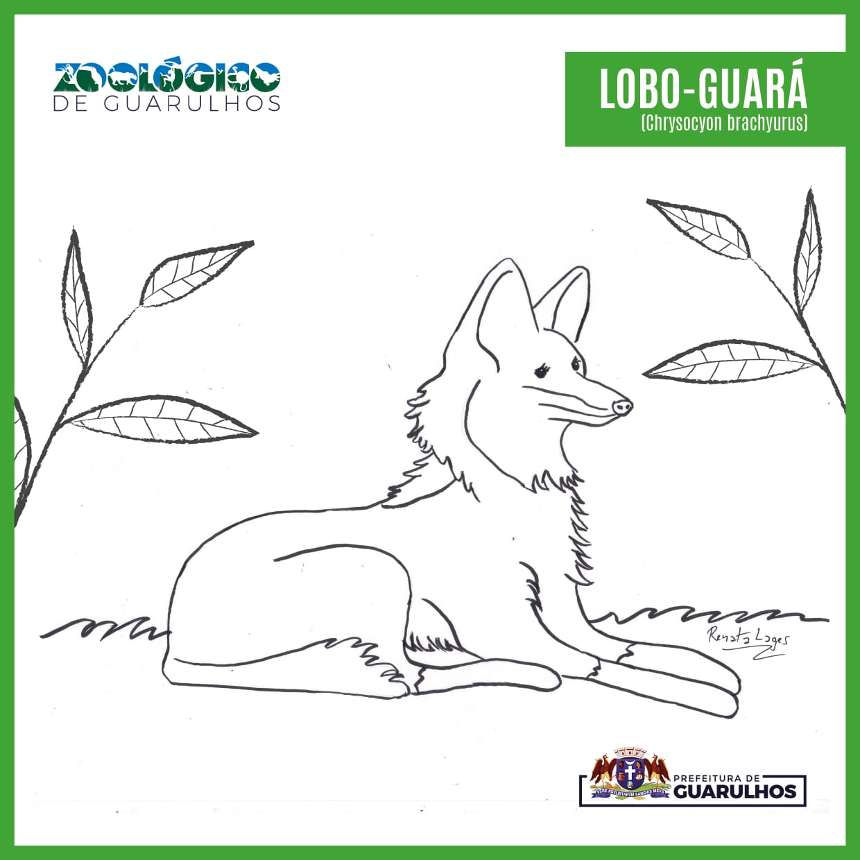 Animais para colorir - Mais de 100 desenhos para imprimir